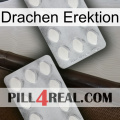 Dragon Erection 17